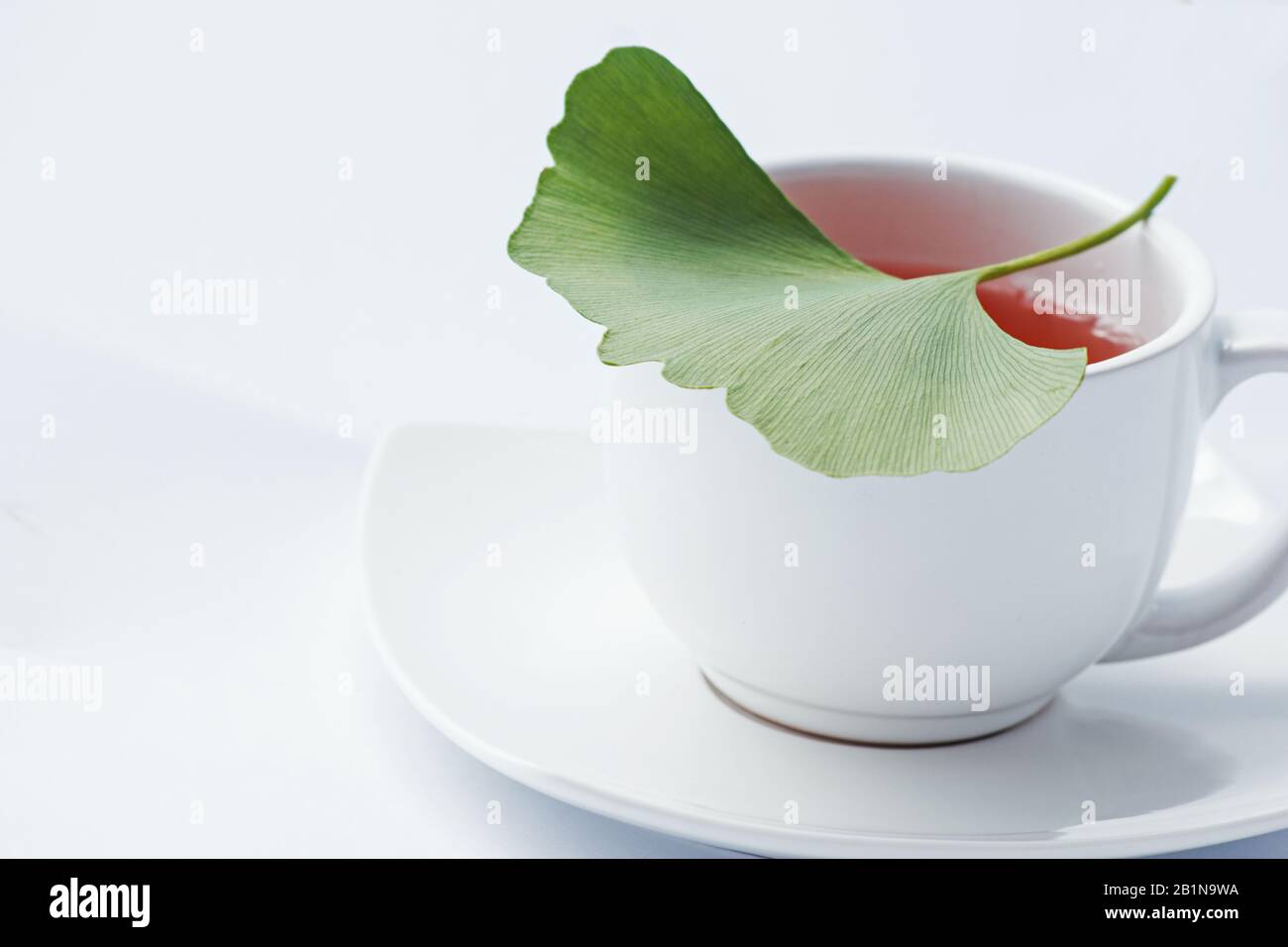 Ginkgo biloba tea and fresh leaf isolated on white Stock Photo