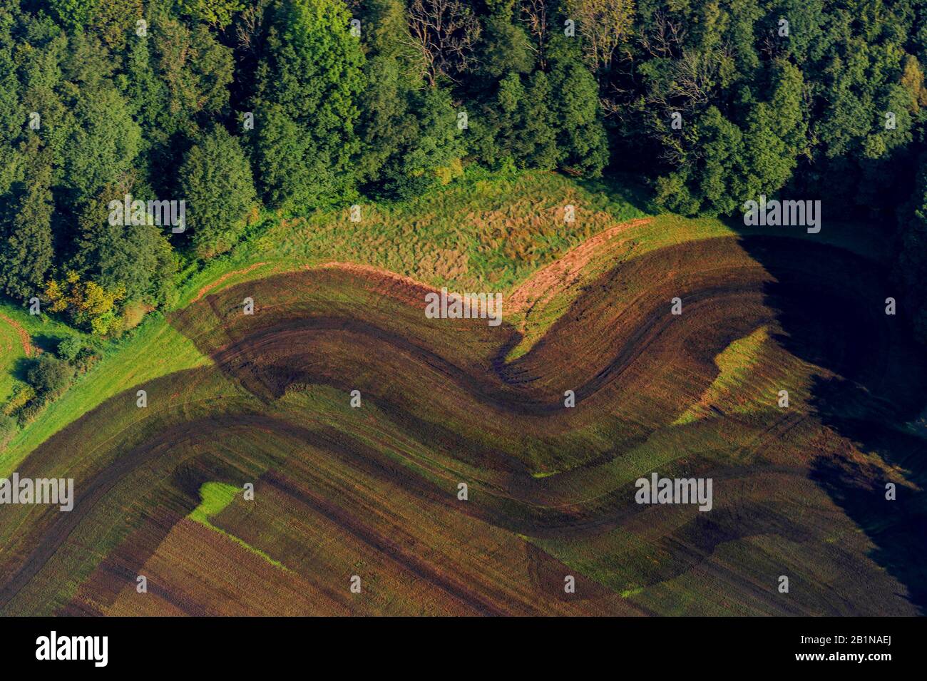 fertilized fiel, aerial picture, Germany, Schleswig-Holstein, Mitte Geest Stock Photo