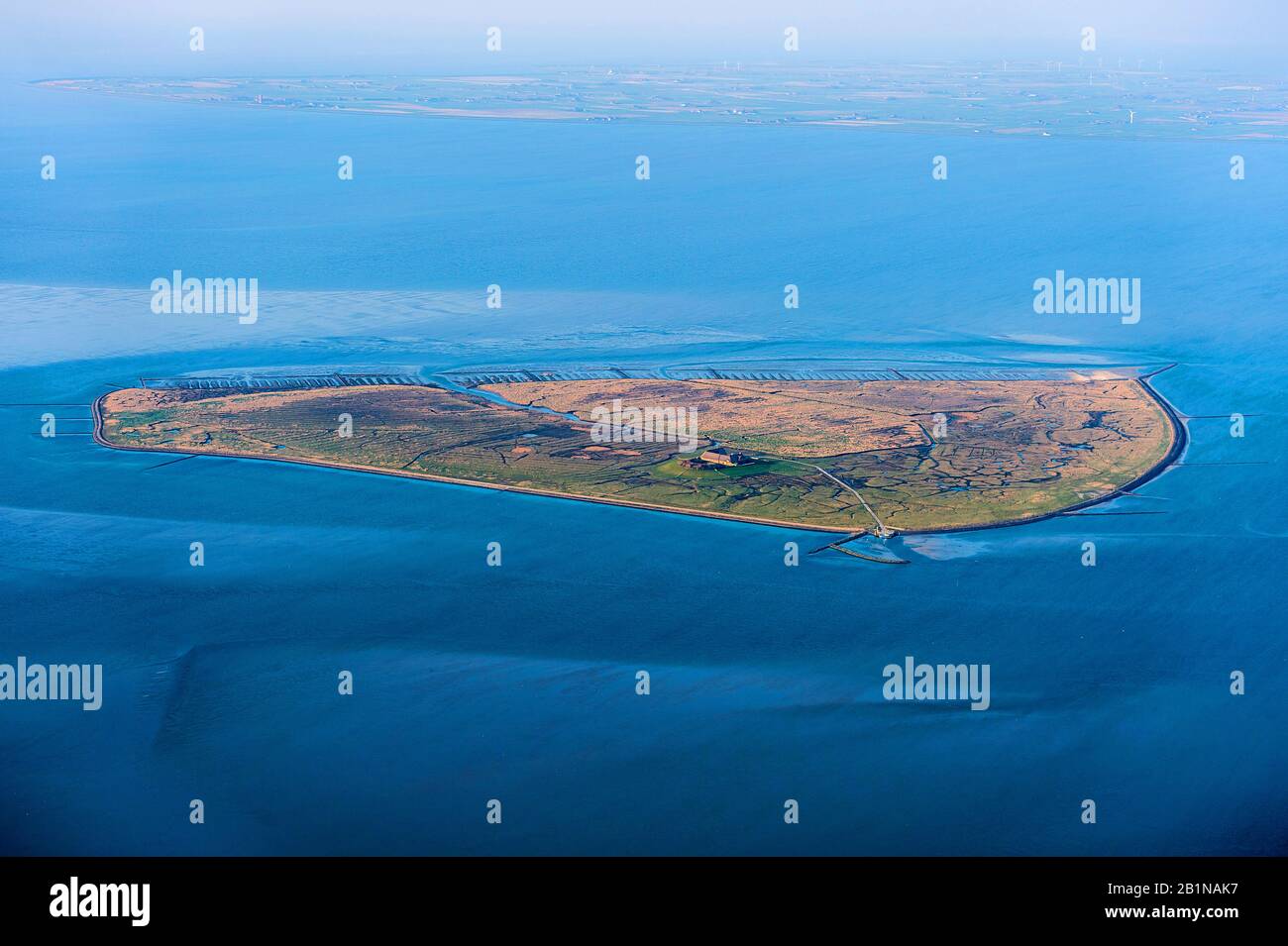 aerial view of Hallig Suederoog with marsh meadows and terp, Germany, Schleswig-Holstein, Schleswig-Holstein Wadden Sea National Park, Hallig Suederoog Stock Photo