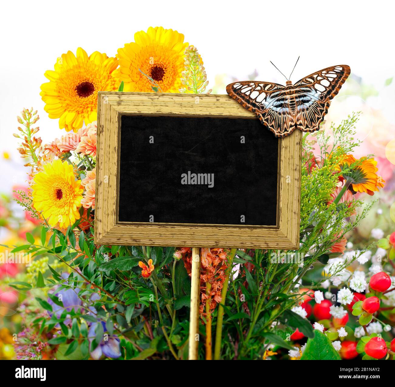 Small blackboard with a butterfly against a flower meadow without text ...
