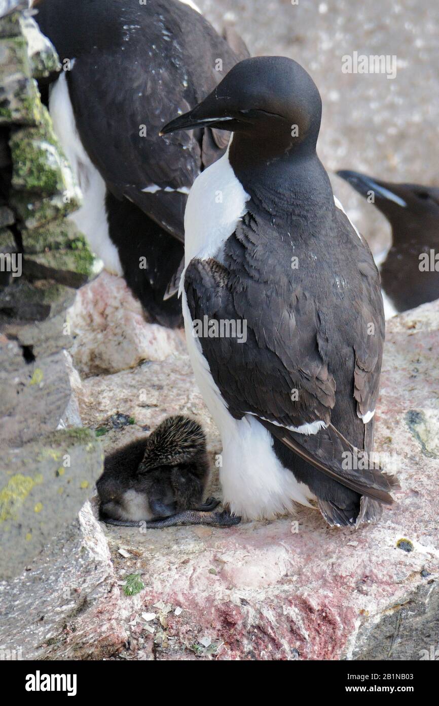 Yigit qizga jinsiy massaj qiladi.