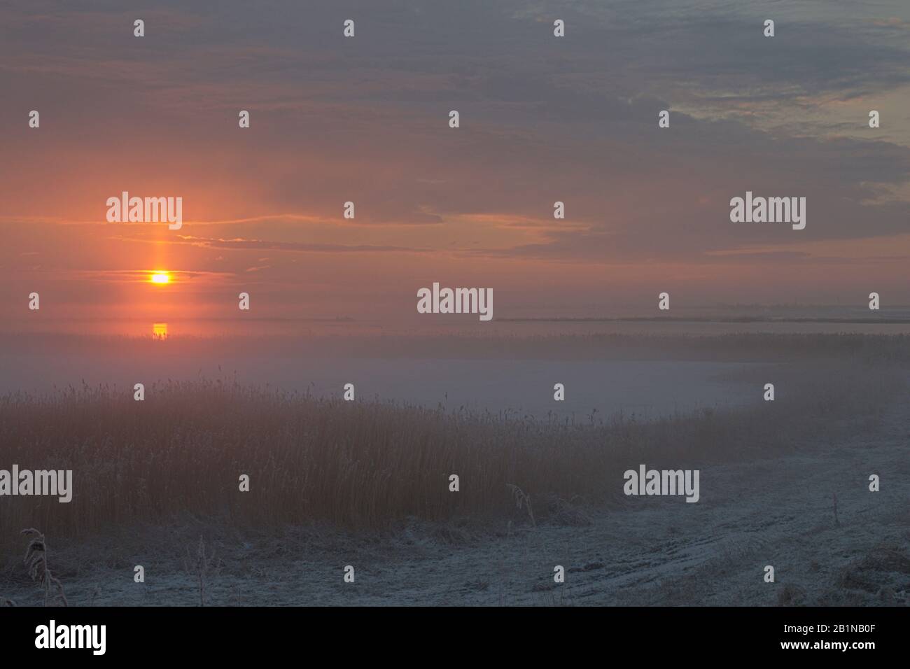 Misty Sunrise at Amstelmeer, Netherlands, Amstelmeer Stock Photo
