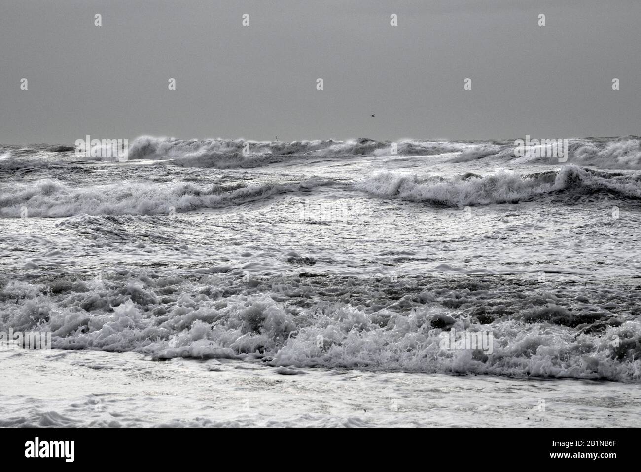 surf at the North Sea in stormy weather, Netherlands, Den Helder Stock Photo