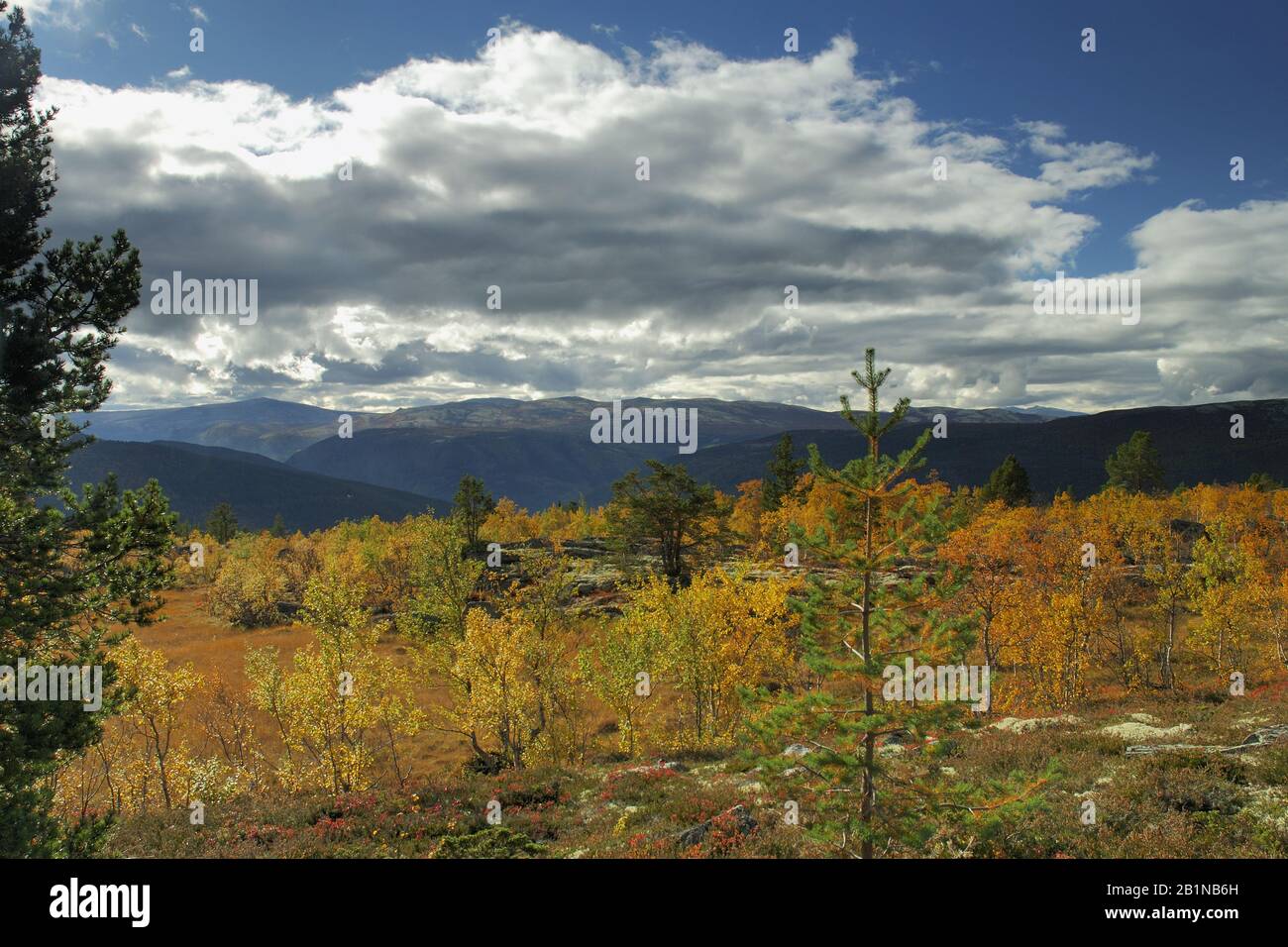 Autumn Landscape in the Rondane National Park, Norway, Rondane National Park Stock Photo