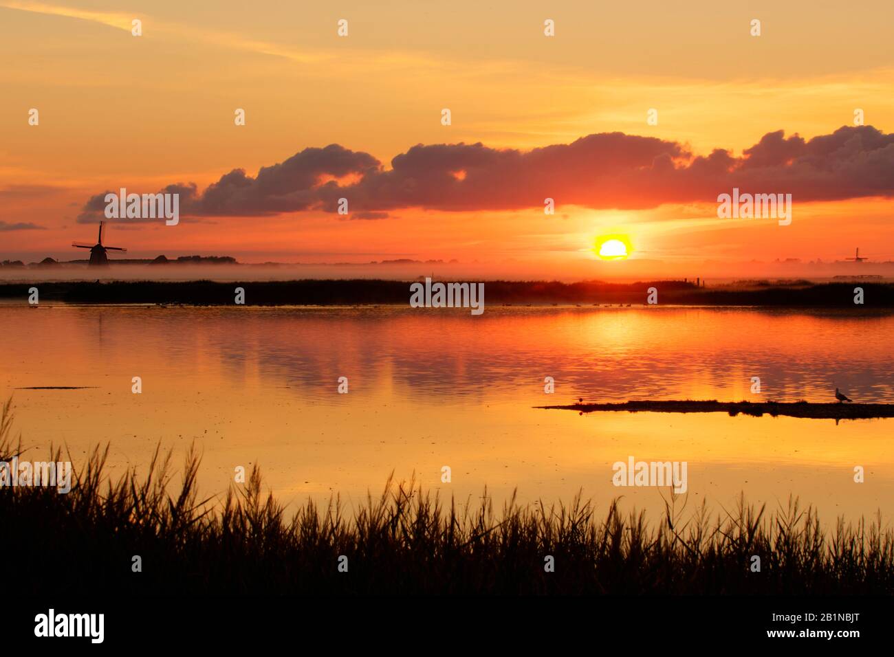 Sunrise at nature reserve de Putten, Netherlands, Northern Netherlands, Camperduin Stock Photo