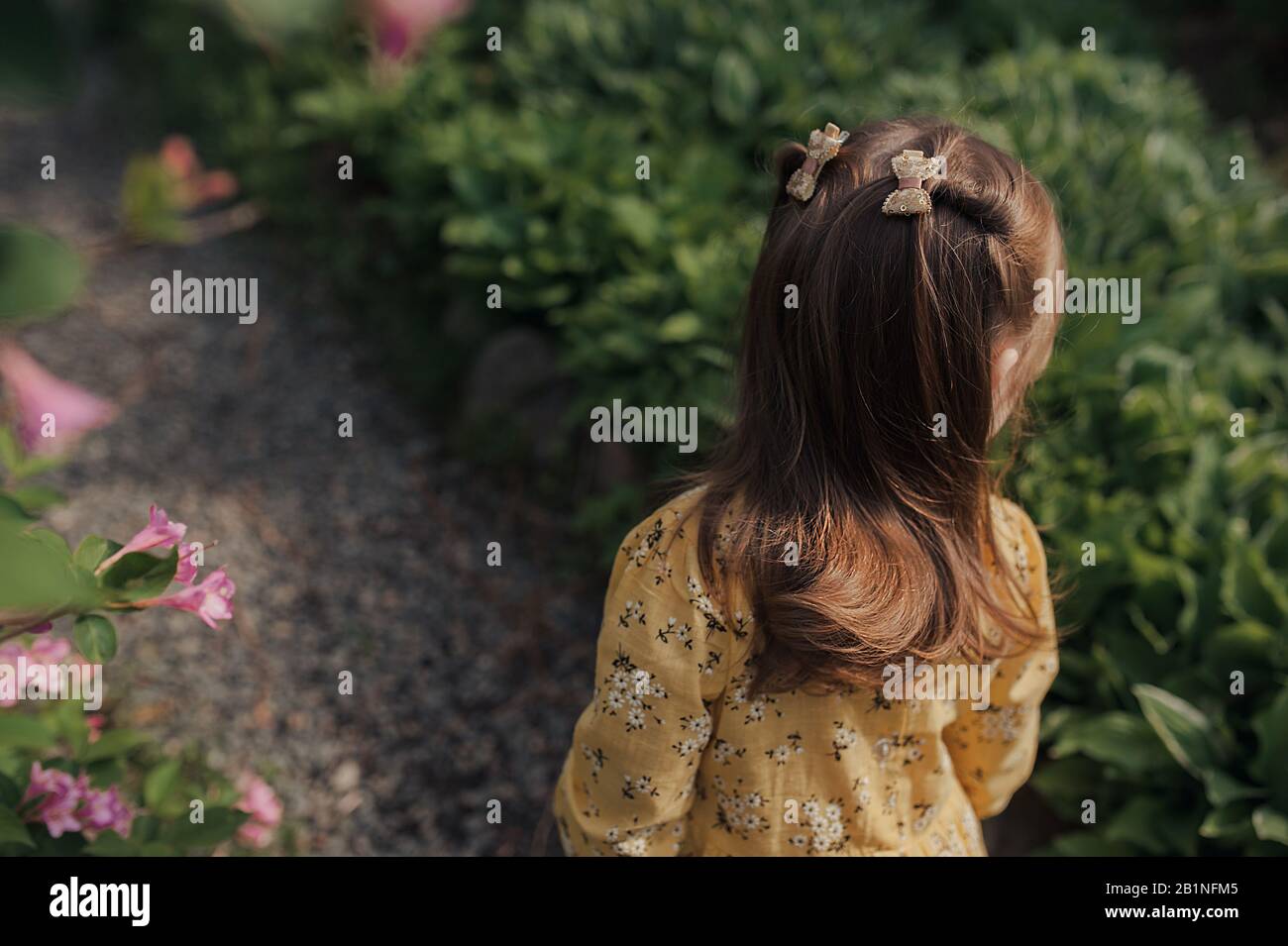 a gentle girl with long curly hair and a hairstyle with barrettes, in a  yellow dress, walks in a flower garden in the spring rear view Stock Photo  - Alamy