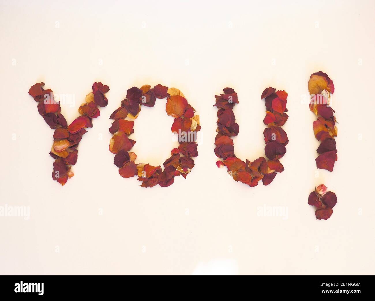 YOU! Written with dried red rose petals on a white background to create a 3d appearance Stock Photo