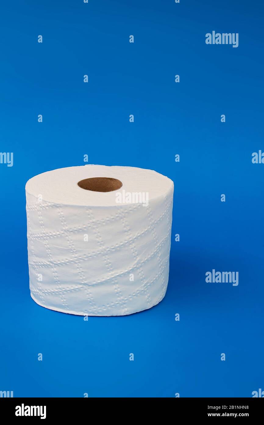 Toilet paper on a blue background with soft shadow Stock Photo