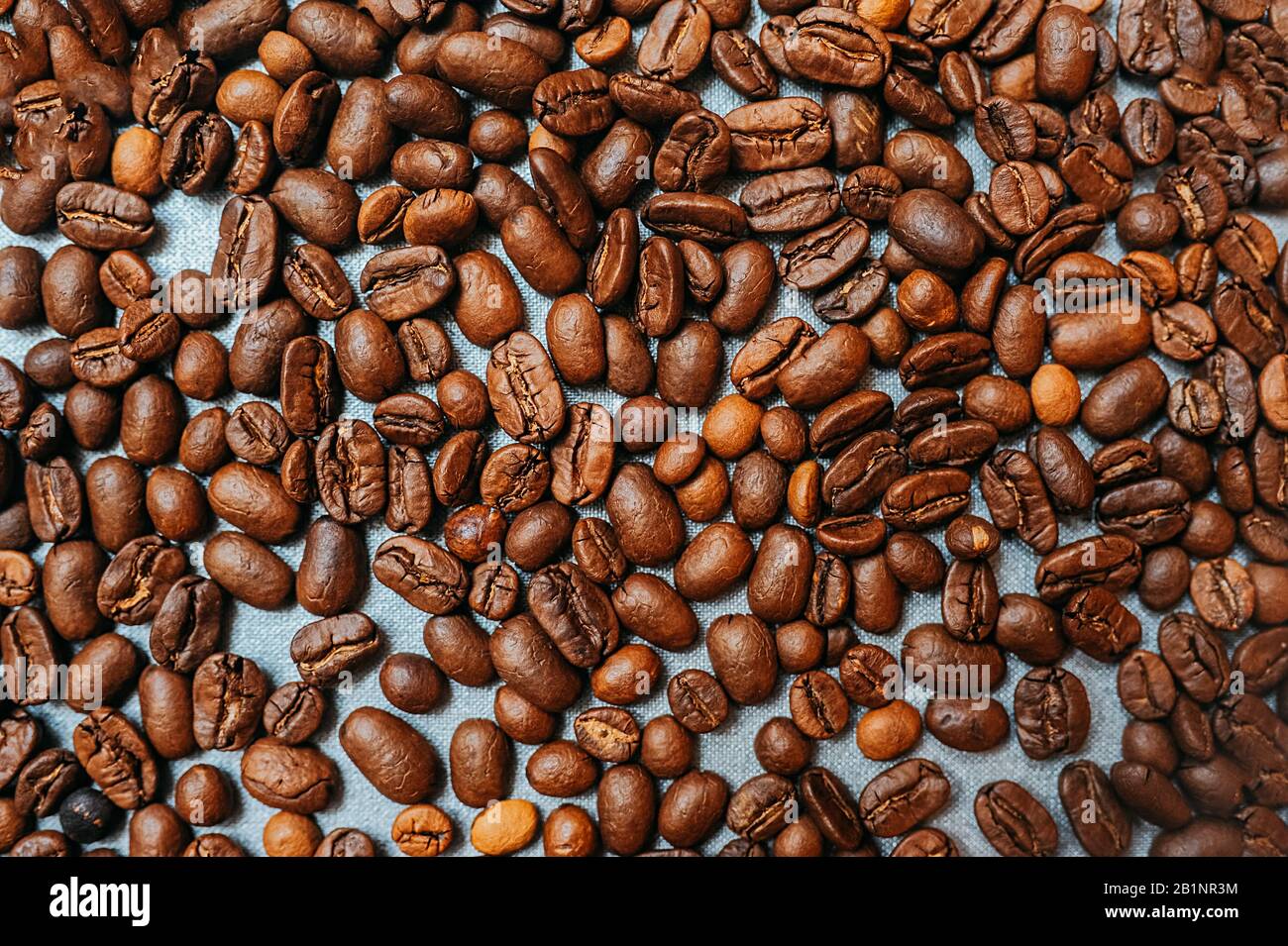 beautiful roasted coffee beans on the whole image on a textile blue ...