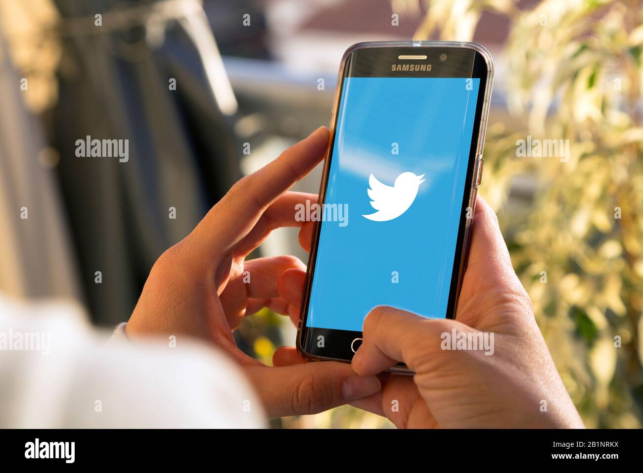 Twitter Bird High Resolution Stock Photography And Images Alamy