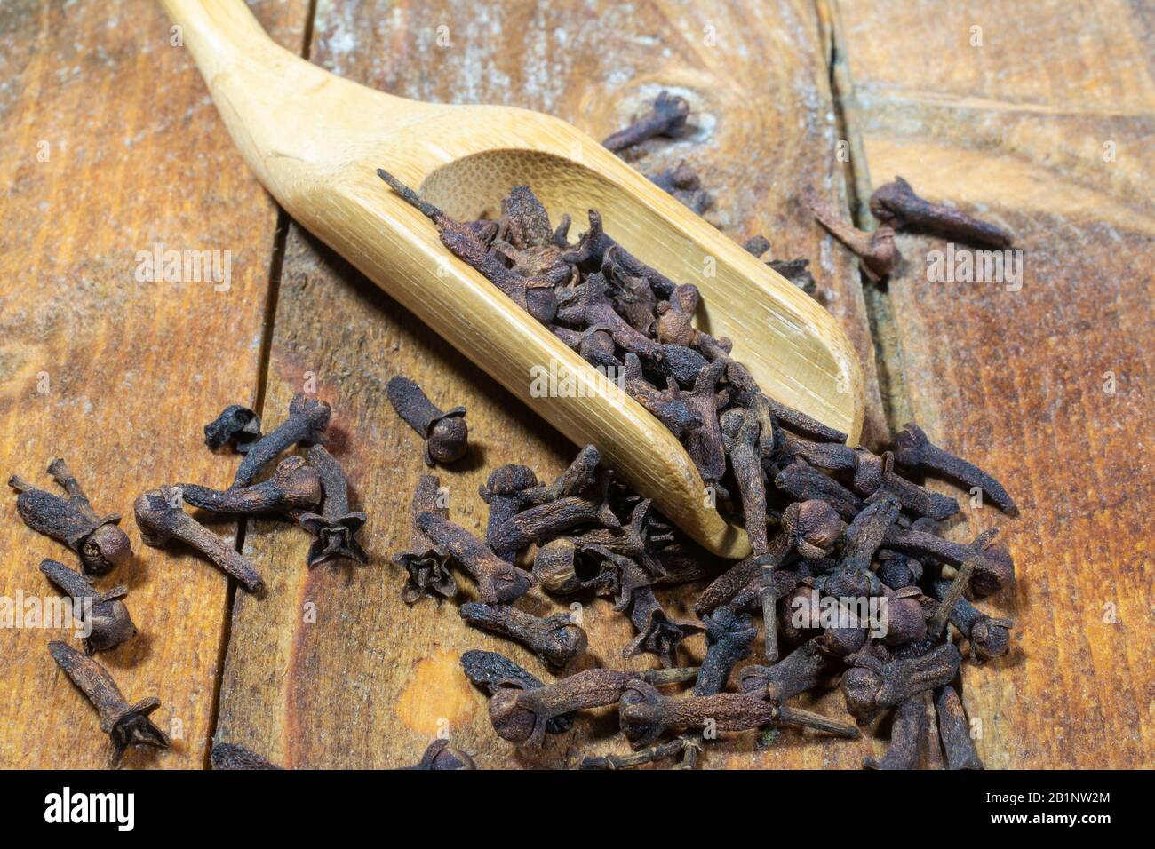 Dried whole Cloves (Syzygium aromaticum) in a wooden scoop Stock Photo