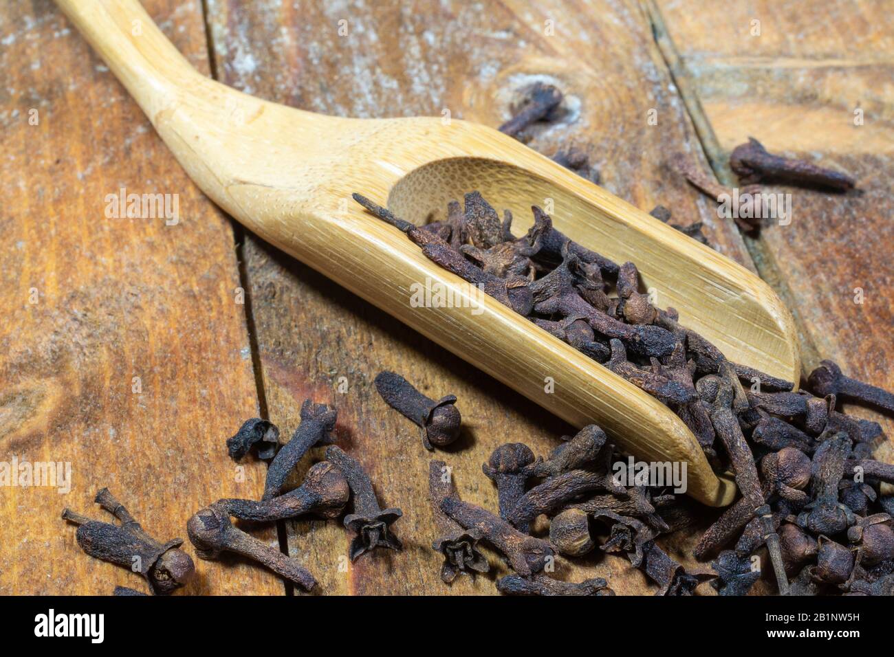 Dried whole Cloves (Syzygium aromaticum) in a wooden scoop Stock Photo