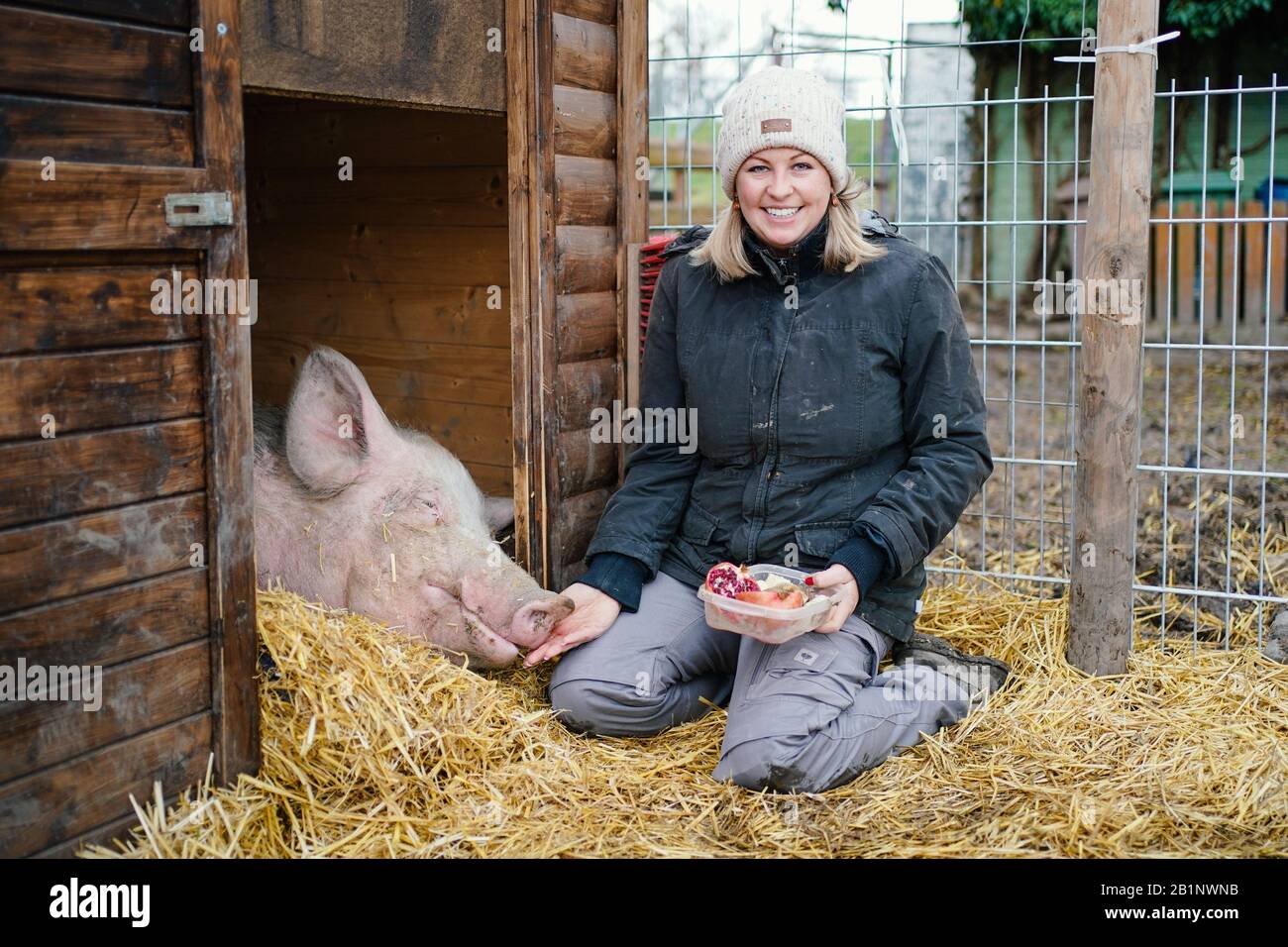 Worms, Germany. 26th Feb, 2020. Vanessa Faß, operator of a private mercy farm, feeds fattening pig 'Lotta' with fruit on the grounds of the mercy farm. The animal had been found smeared with soccer slogans on a sports field in Mannheim last year before the third league derby between Kaiserslautern and Mannheim. On Saturday (29.02.) the return match will take place in Mannheim's Carl-Benz-Stadium. (to dpa-KORR: ''No place for hate': FCK before explosive Southwest Derby in Mannheim') Credit: Uwe Anspach/dpa/Alamy Live News Stock Photo