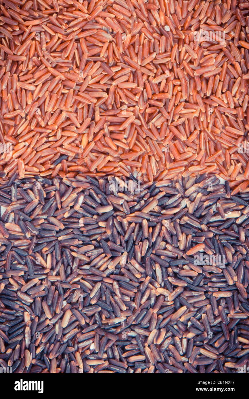 Vintage photo, Heap of black and red rice as background, concept of ...