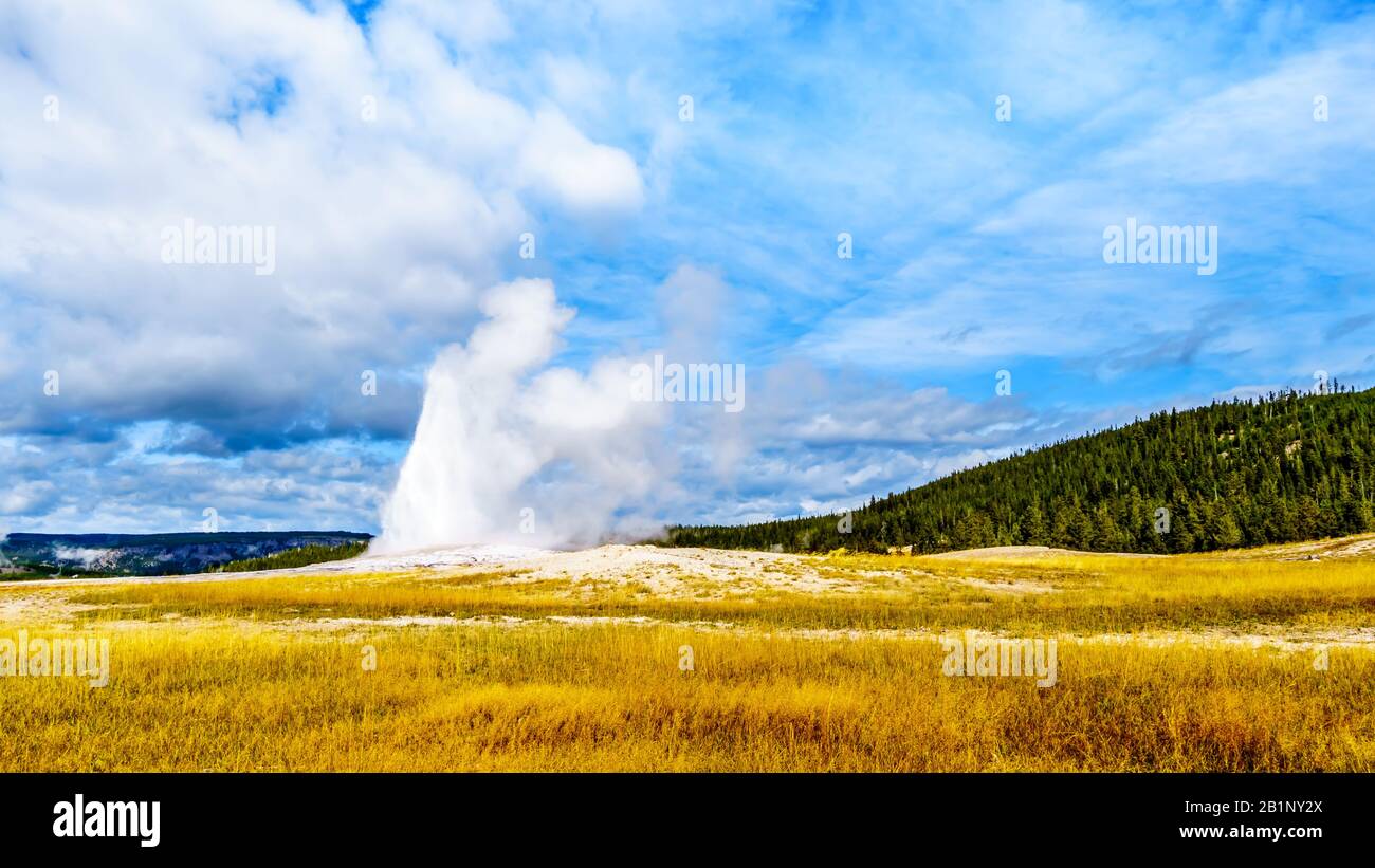 The start of an Eruption of the famous Old Faithful Geyser a Cone Geyser in the Upper Geyser Basin along the Continental Divide Trail in Yellowstone N Stock Photo