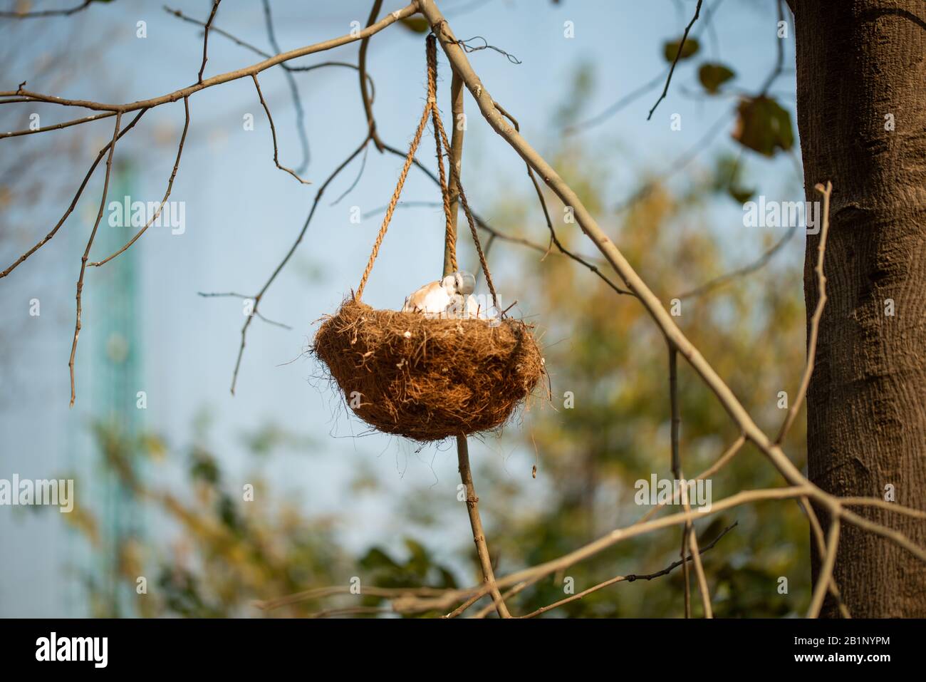 Mother bird feeding her baby in the nest hanging on the tree branch