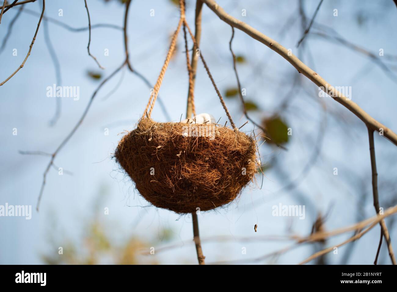 Bird nest hanging hires stock photography and images Alamy