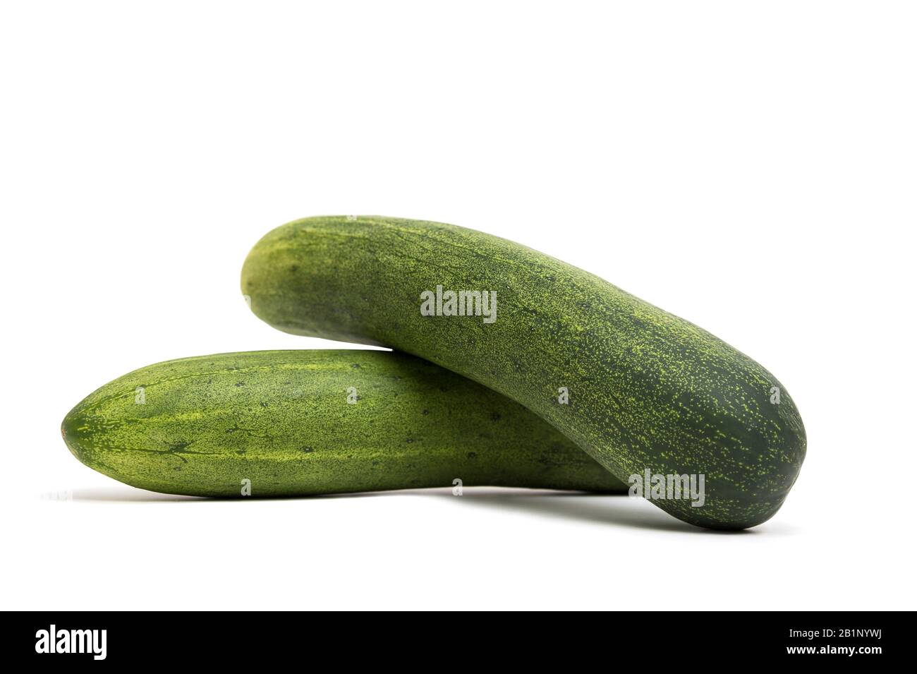 Two cucumbers isolated on a white background. Stock Photo