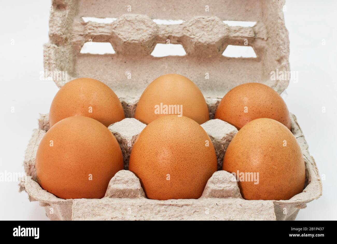 Fresh eggs in an egg box isolated on white Stock Photo