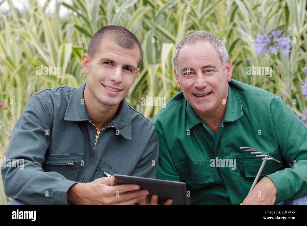 portrait of two landscape gardeners working together Stock Photo