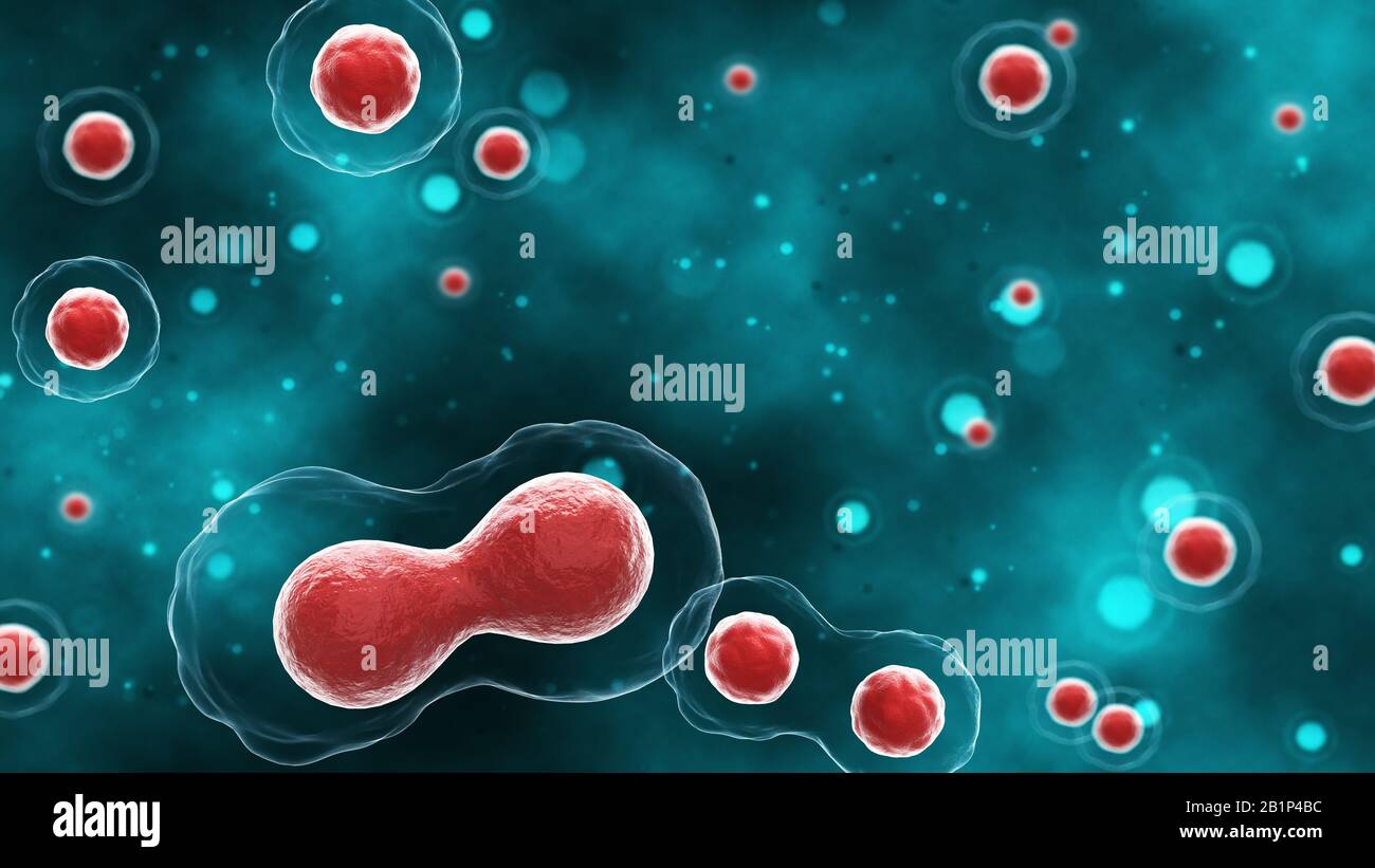 Process division of cell. 3D illustration. Medical concept. Stock Photo