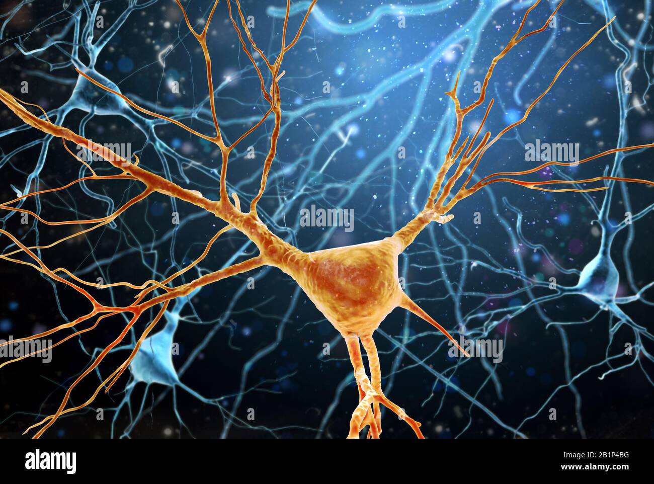 3D Illustration of Human Brain Neurons structure. A high resolution., 3D Illustration of Human Brain Neurons structure. A high resolution. Stock Photo