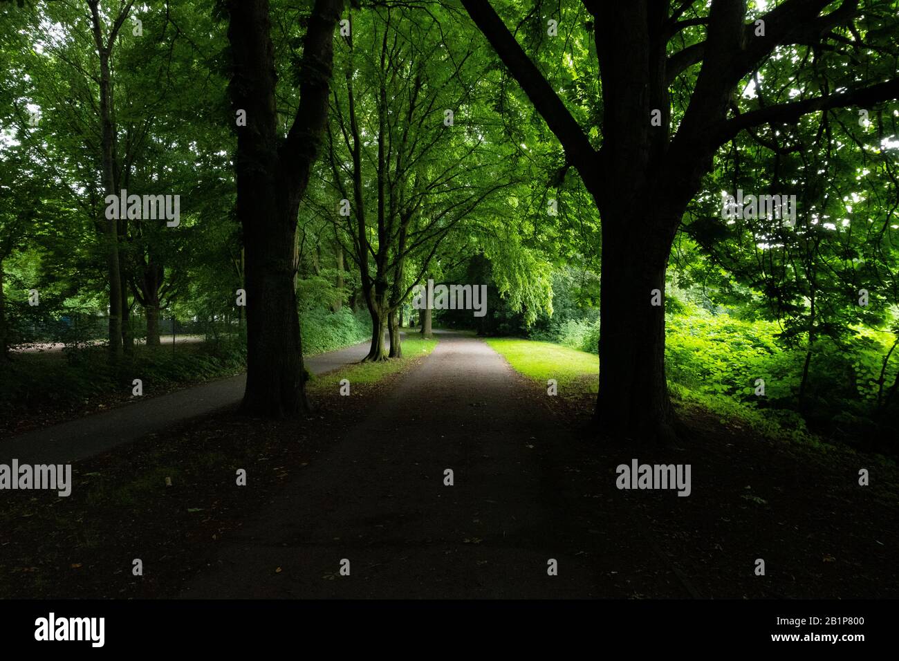 Light Shadow Path A walking path with lights and shadow in a public park Stock Photo - Alamy