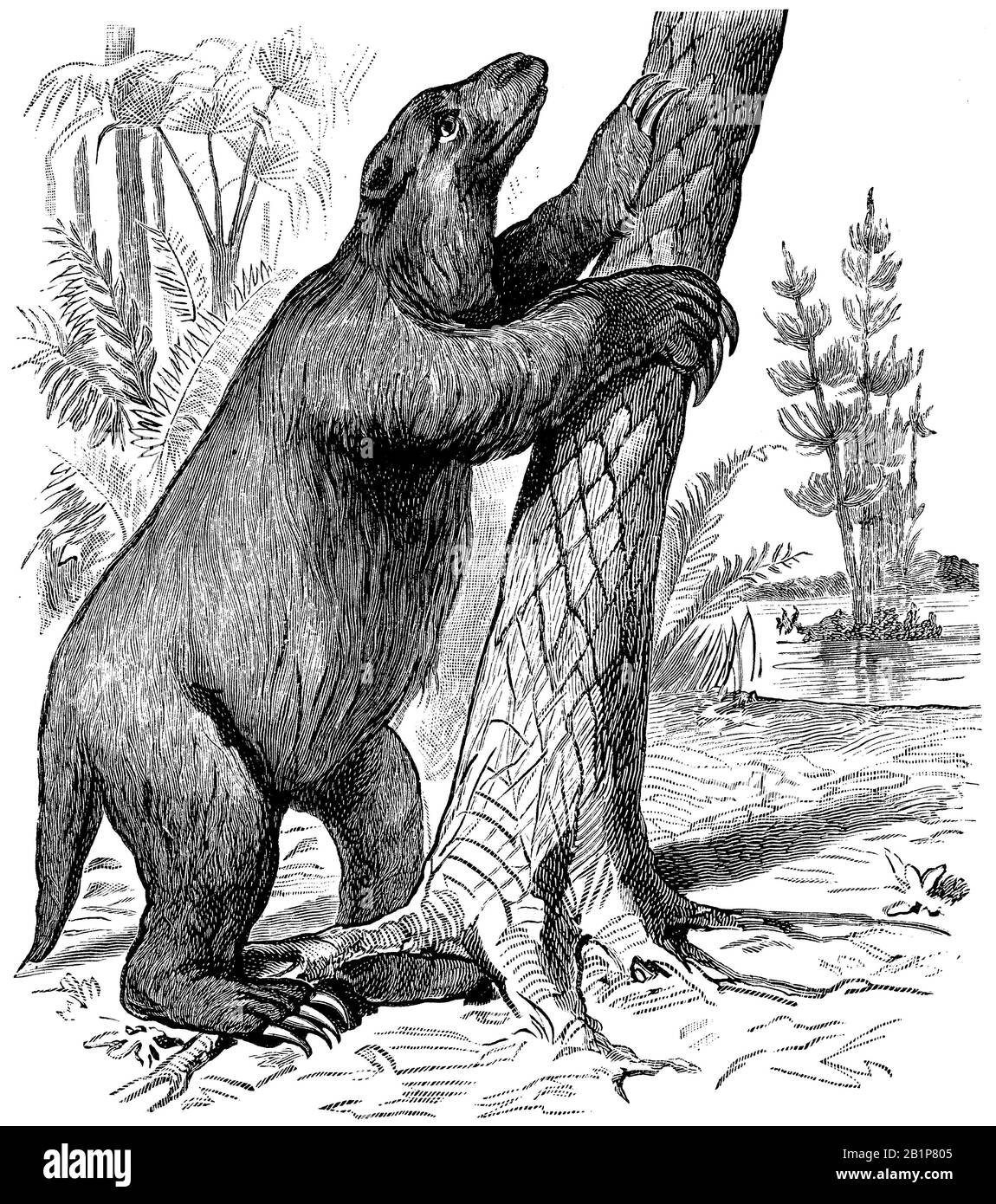 giant sloth, Mylodon robustus, anonym (evolution history book, 1890) Stock Photo