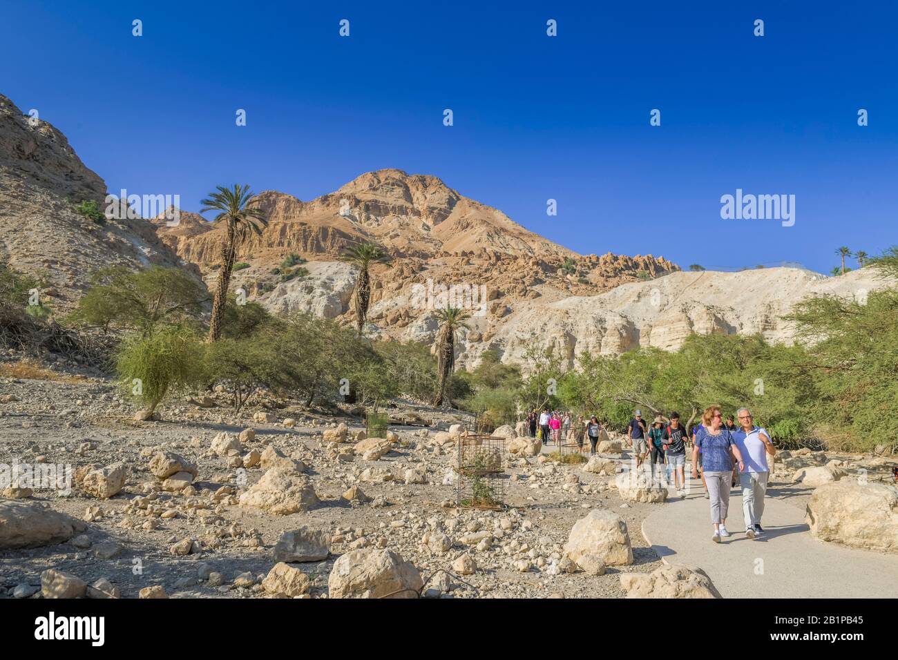 Wanderer im Wadi David, Naturreservat Ein Gedi, Israel Stock Photo