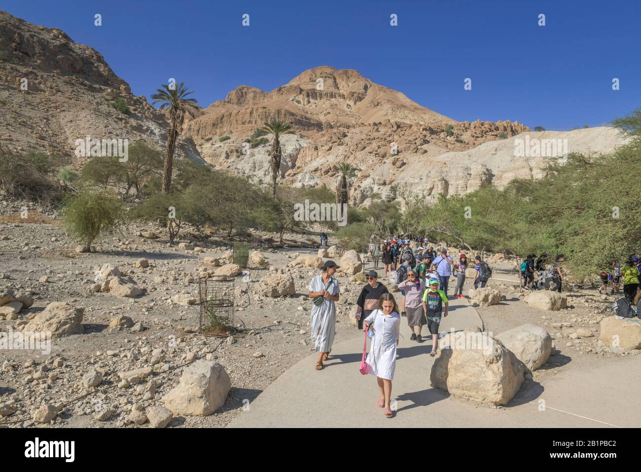 Wanderer im Wadi David, Naturreservat Ein Gedi, Israel Stock Photo