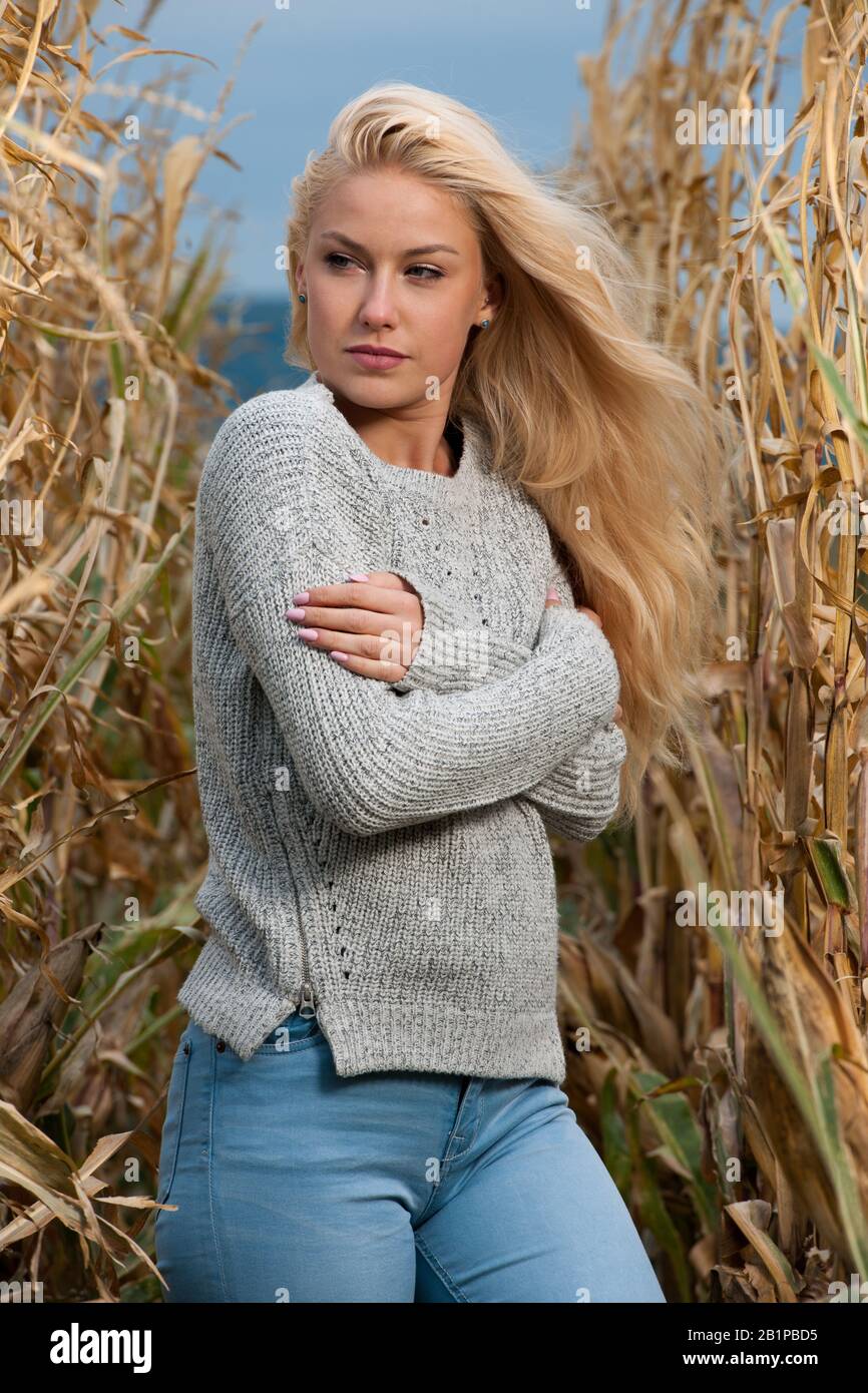 Blog style fashion photo of cute blond woman on corn field in late