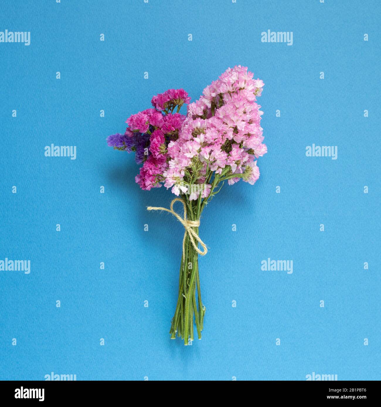 Pink purple statice flowers bouquet on blue background. Floral composition, flat lay, top view Stock Photo