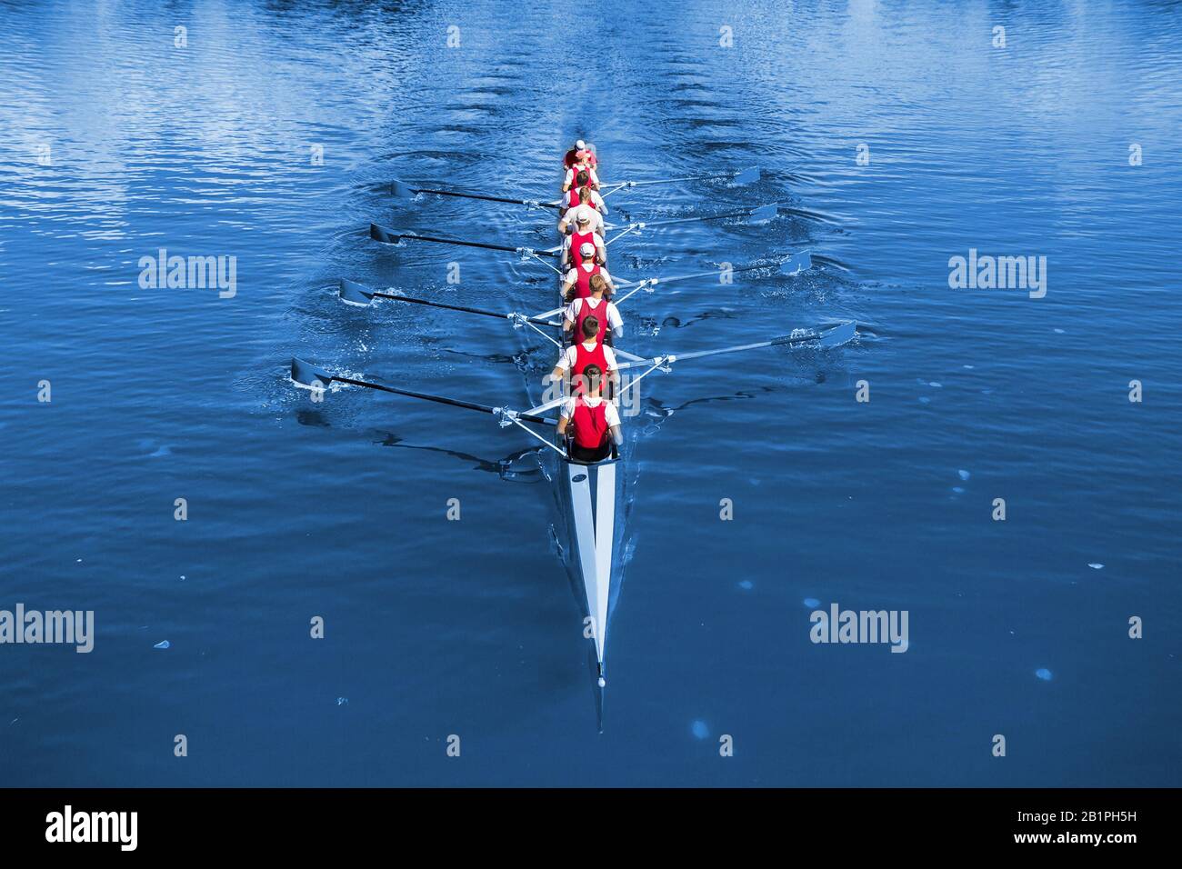 Boat coxed eight Rowers rowing on the blue lake. Classic Blue Pantone 2020 year color. Stock Photo