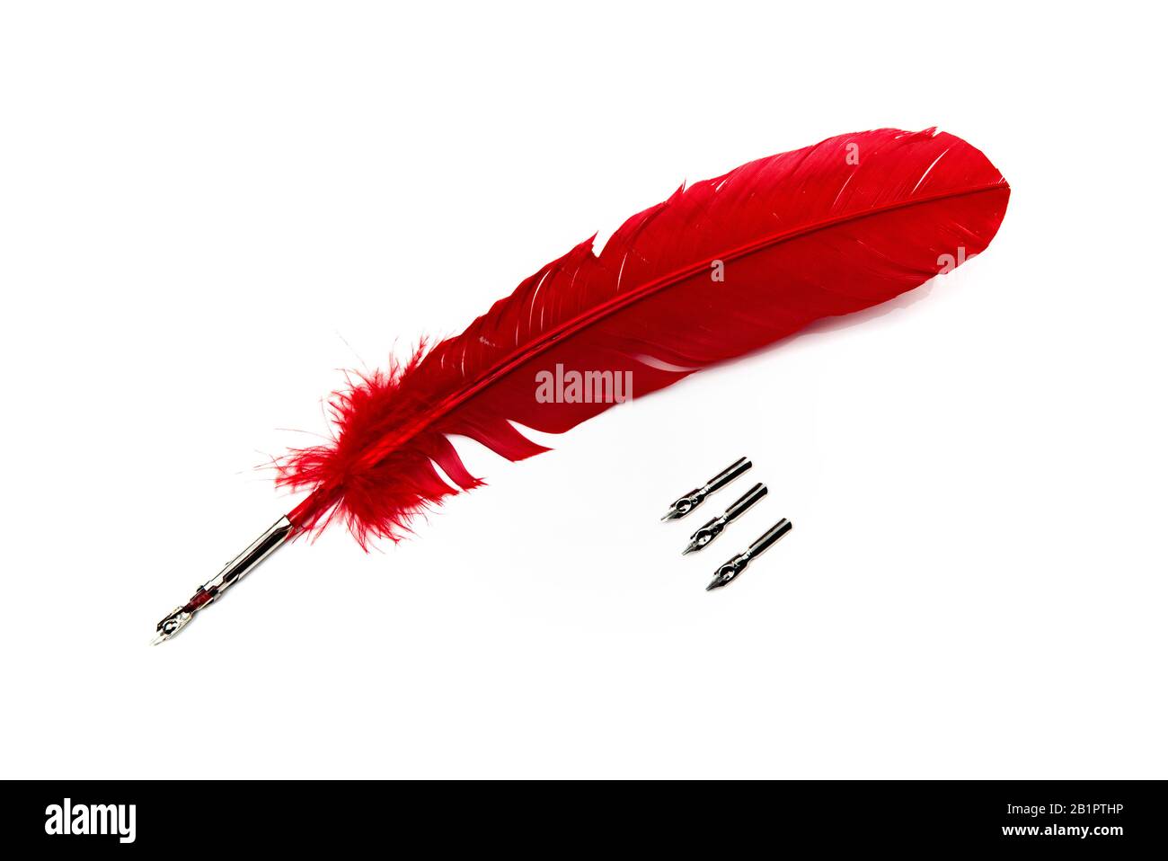 A red feather pen isolated on white background Stock Photo