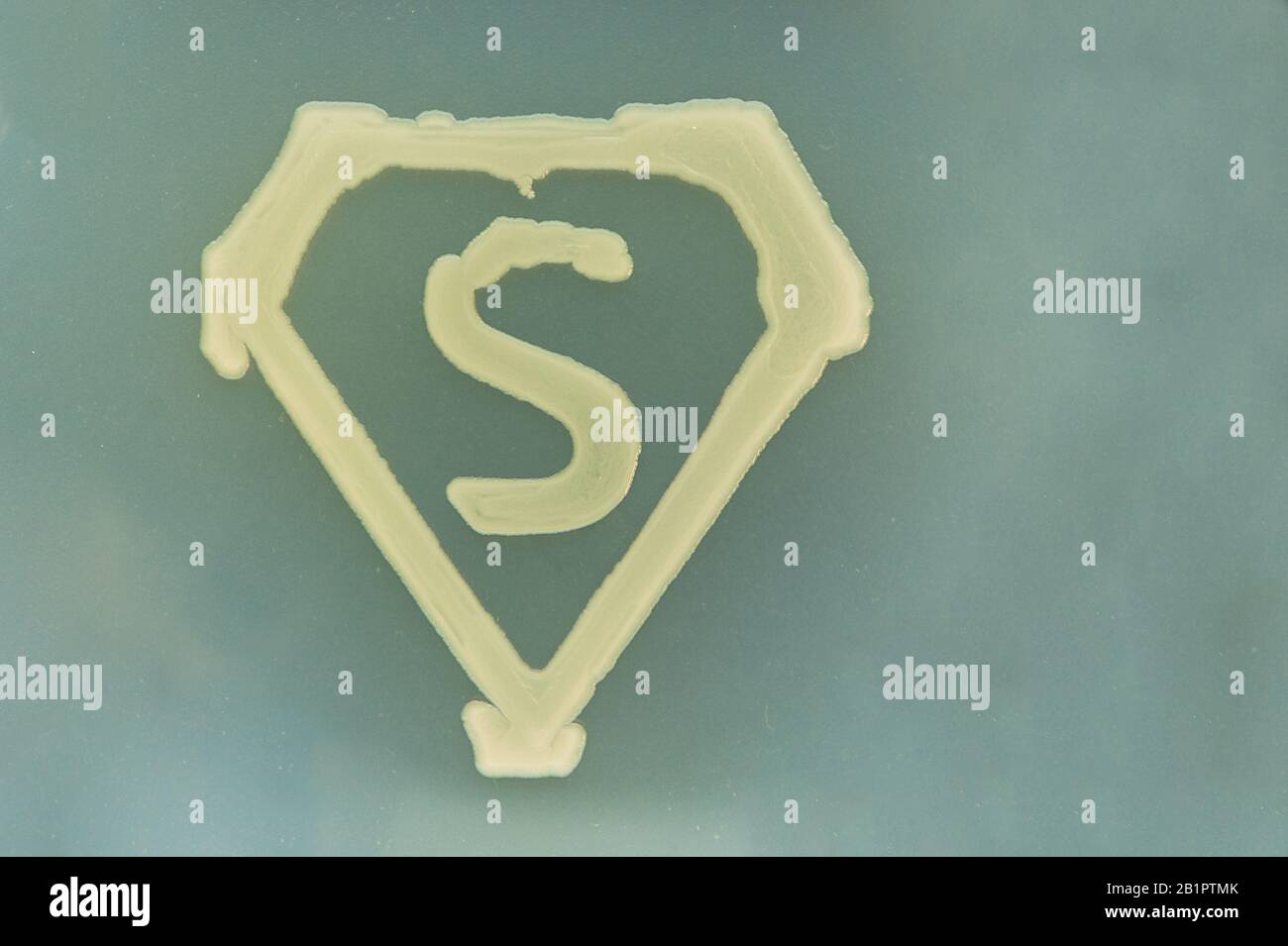 super germ sign made of bacterial culture in shape of letter s Stock Photo
