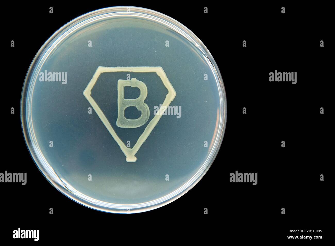 Super bacteria symbol consisting of bacterial culture Stock Photo