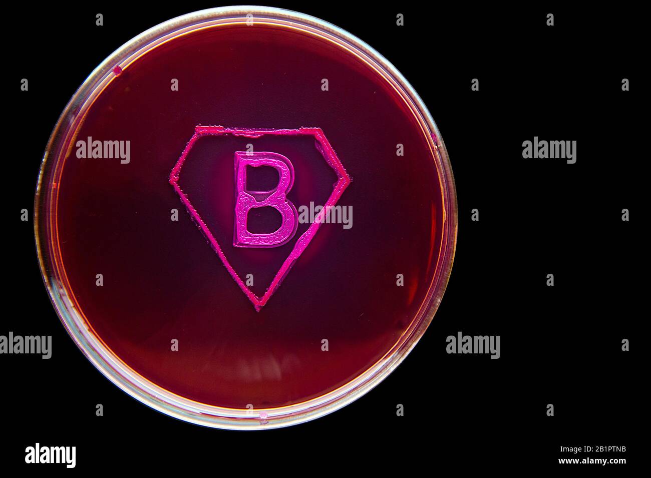 Super bacteria symbol consisting of bacterial culture Stock Photo
