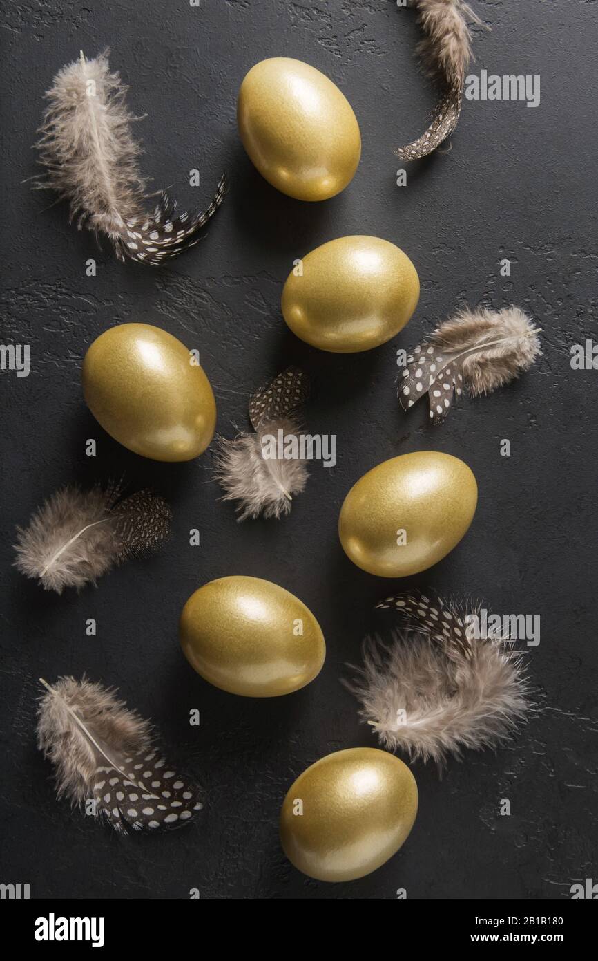 Chicken colored golden eggs and feathers on black. Easter dark concept. View from above. Easter composition. Spring. Stock Photo