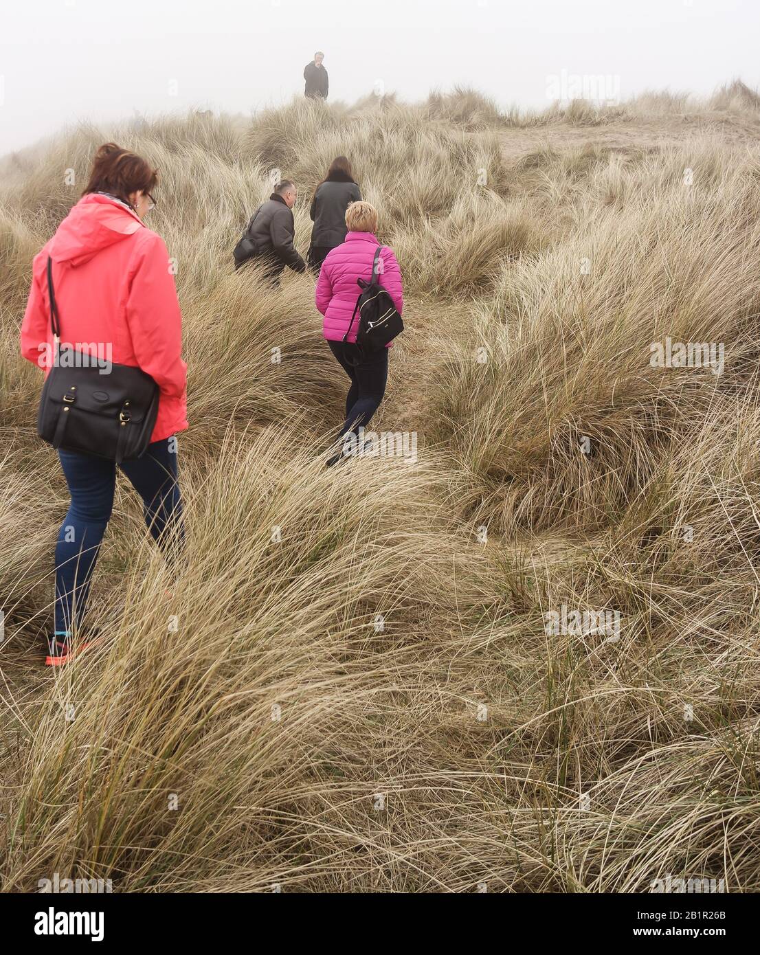 Horsey Gap, North Norfolk / England, UK: People exploring, wandering, climbing in fields in  foggy, misty day Stock Photo