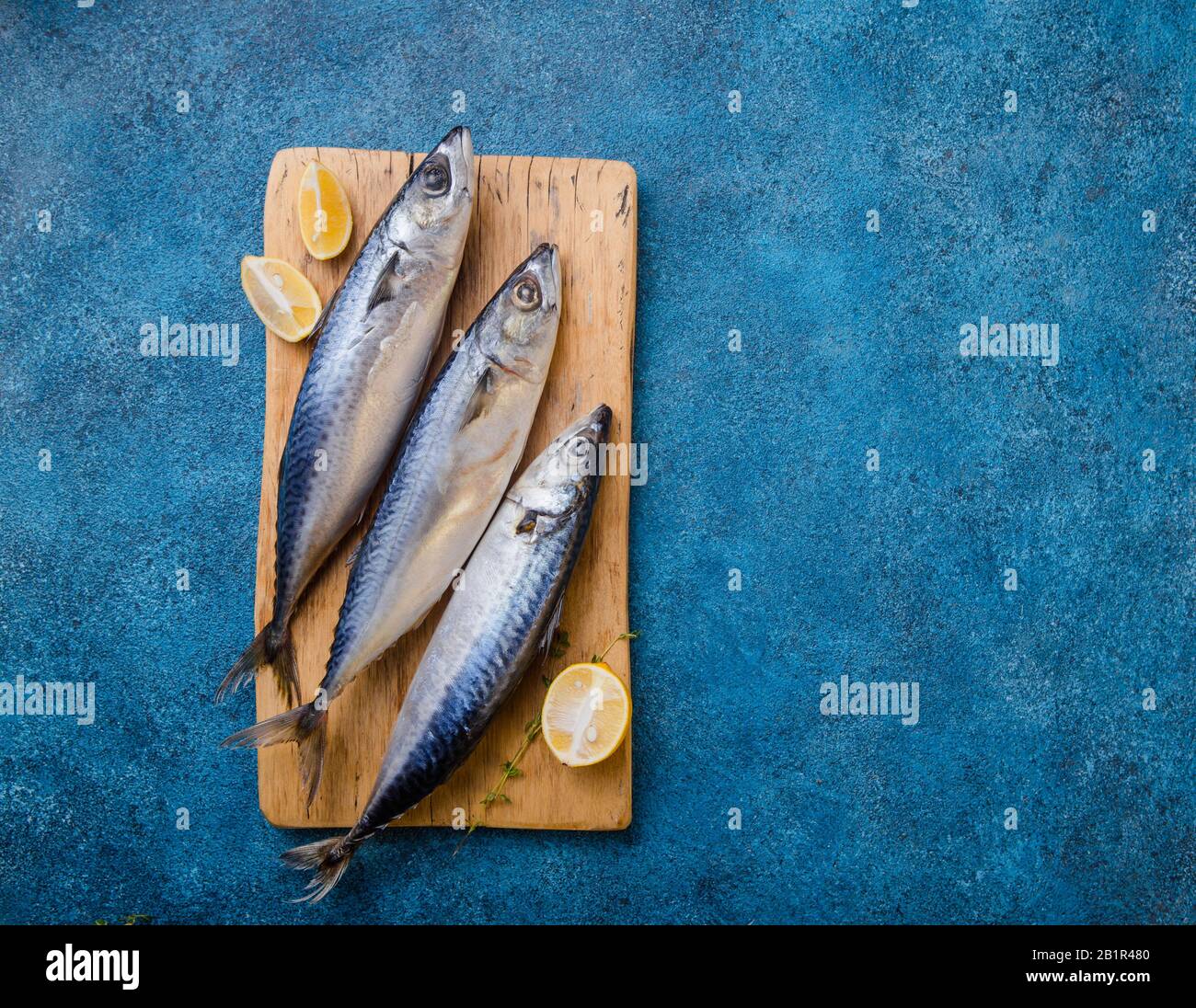 Atlantic bonito Sarda or Palamida that is large mackerel-like fish Stock Photo