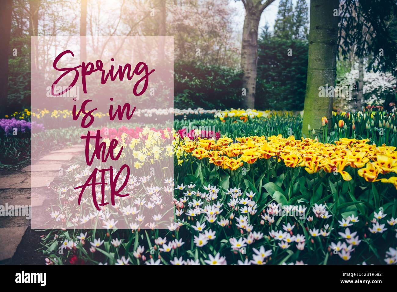 Spring Is In The Air Quotes