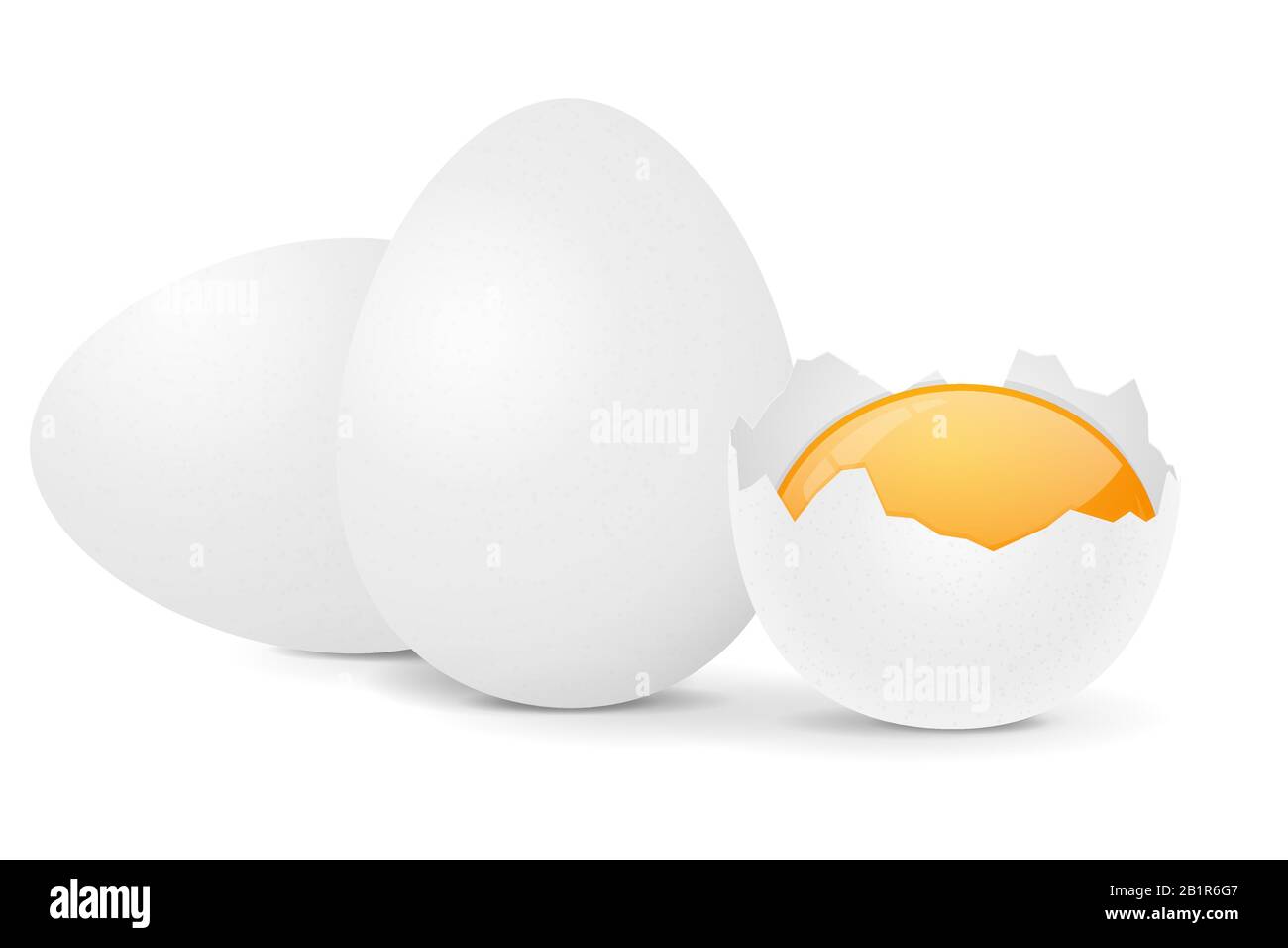 Chicken eggs Stock Vector
