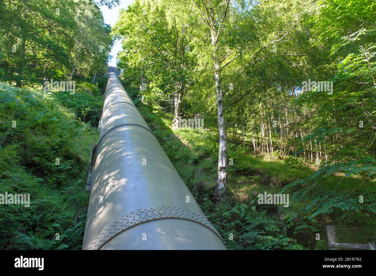 Hydro electricity pipe falling through forest near Killin, Scotland Stock Photo