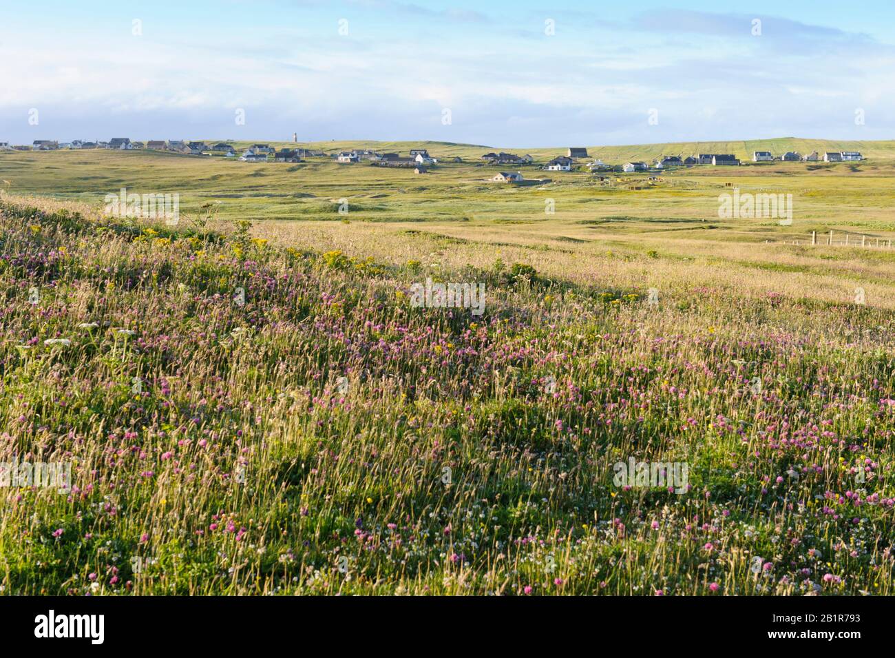 A view across machair land near Port of Ness on the Isle of Lewis, Scotland Stock Photo
