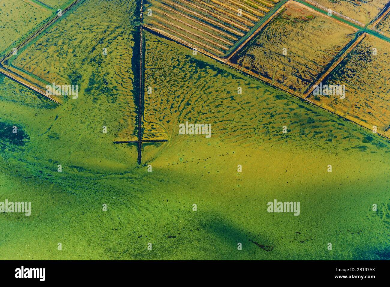 aerial view of the North Sea, barriers for land reclamation, Germany, Schleswig-Holstein, Schleswig-Holstein Wadden Sea National Park Stock Photo