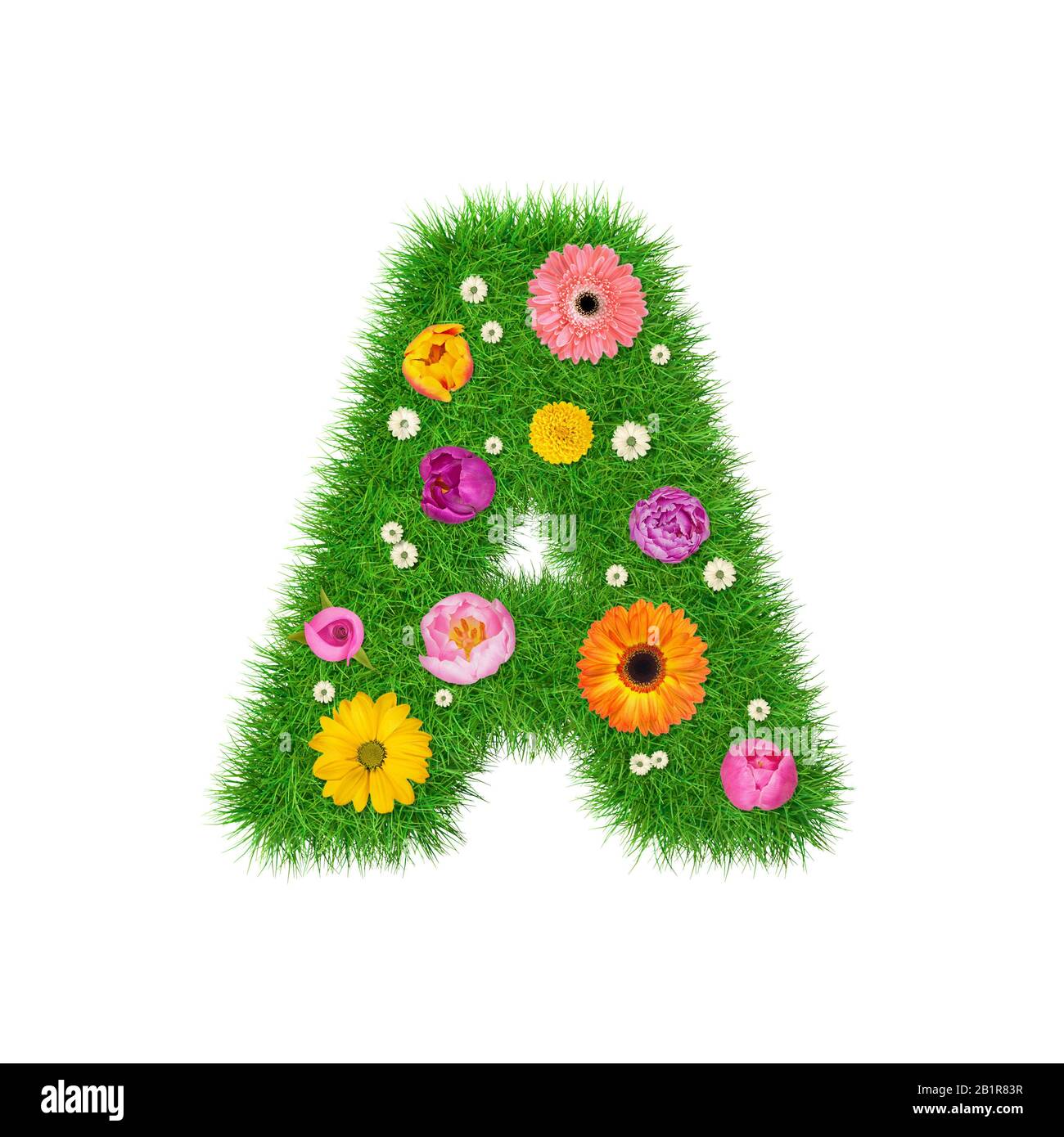 Letter A made of grass and colorful flowers, spring concept for graphic ...
