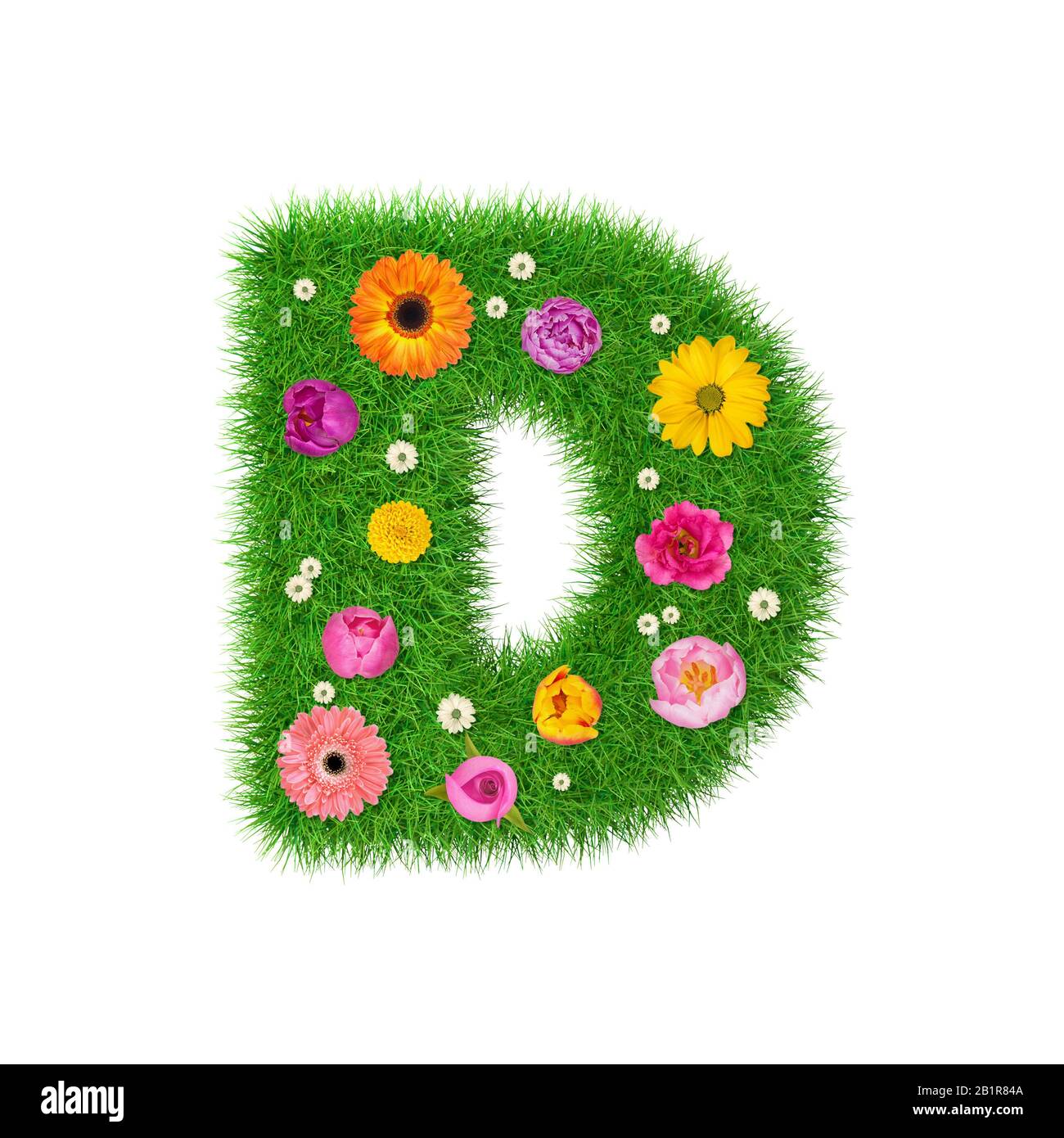 Letter D made of grass and colorful flowers, spring concept for graphic design collage Stock Photo