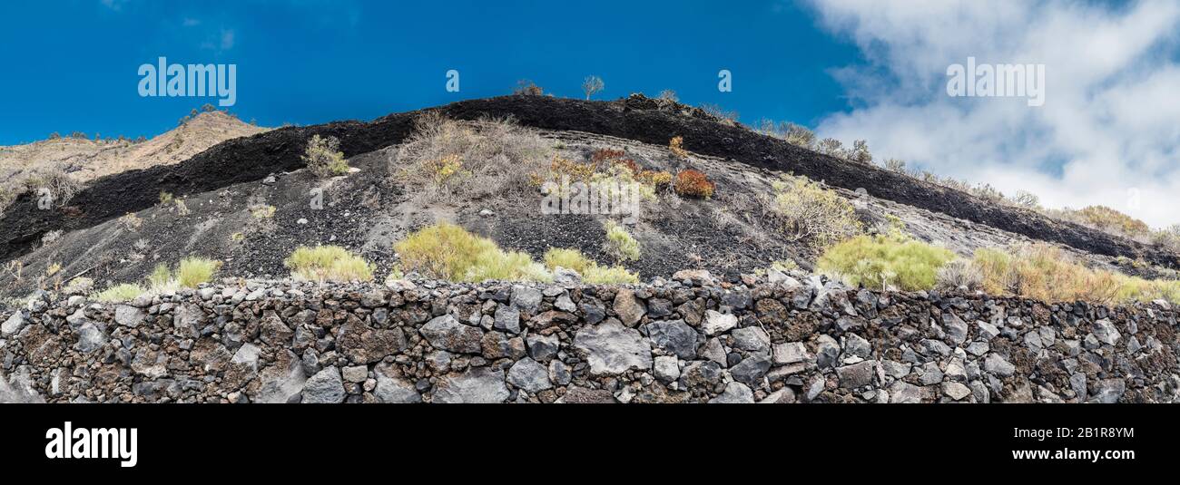 The Caldereta de Las Indias Cinder Cone is a small mafic phreatomagmatic centre partly exposed in a roadcut in southern La Palma, Canary Islands Stock Photo