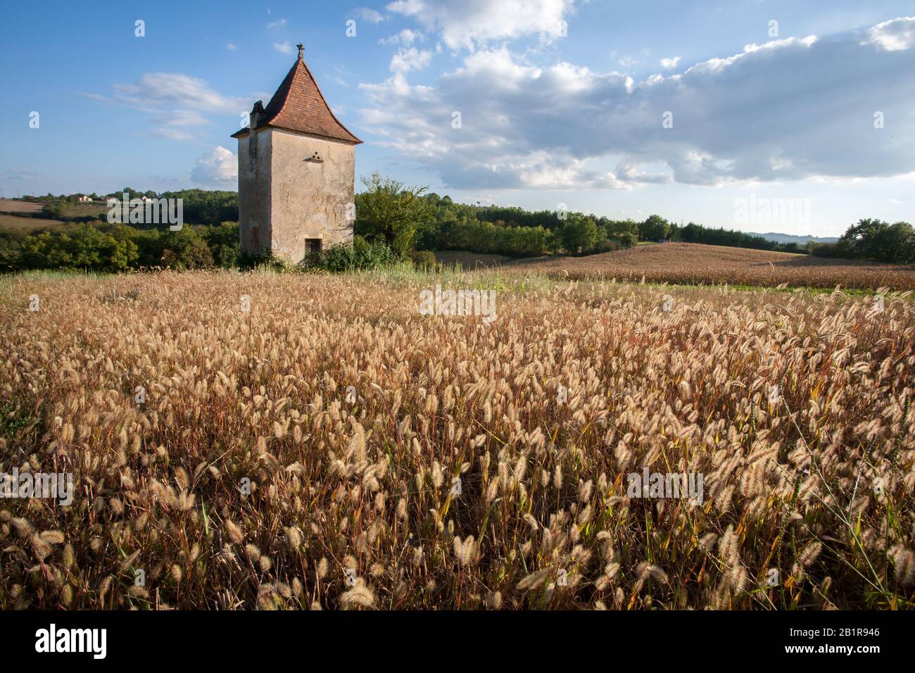 Barley farming europe hi-res stock photography and images - Alamy