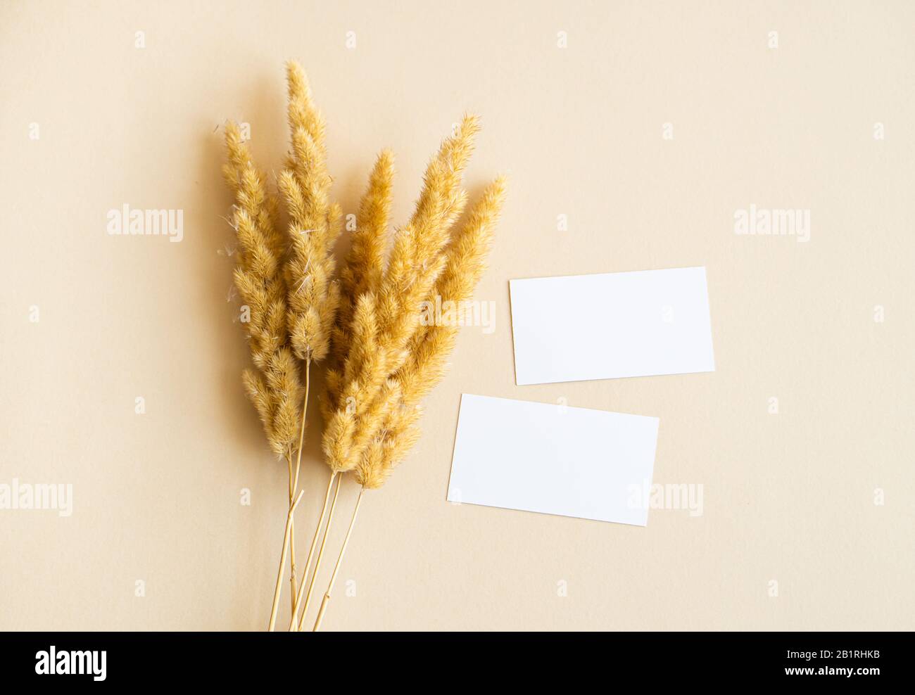 Minimal business cards hi-res stock photography and images - Alamy
